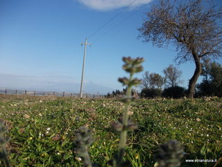 tapiccola-13-01-2013 09-16-49
